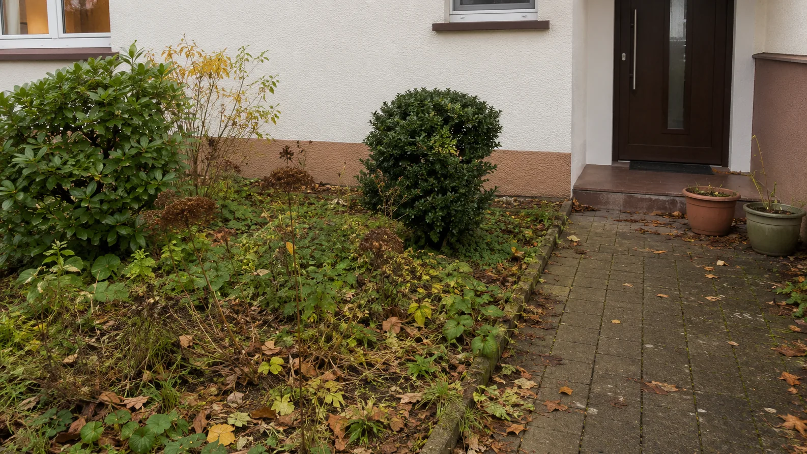 Vorgarten mit Laub und Wildwuchs vor dem GartenReset